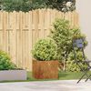 vidaXL Jardini&egrave;re rouill&eacute; 40x40x40 cm acier inoxydable