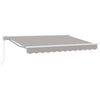 vidaXL Cadre d'auvent Gris clair 250 x 200 cm