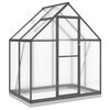 vidaXL Serre avec cadre de base anthracite 169x114x202 cm aluminium