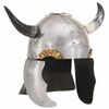 vidaXL Casque de viking pour GN Argent&eacute; Acier