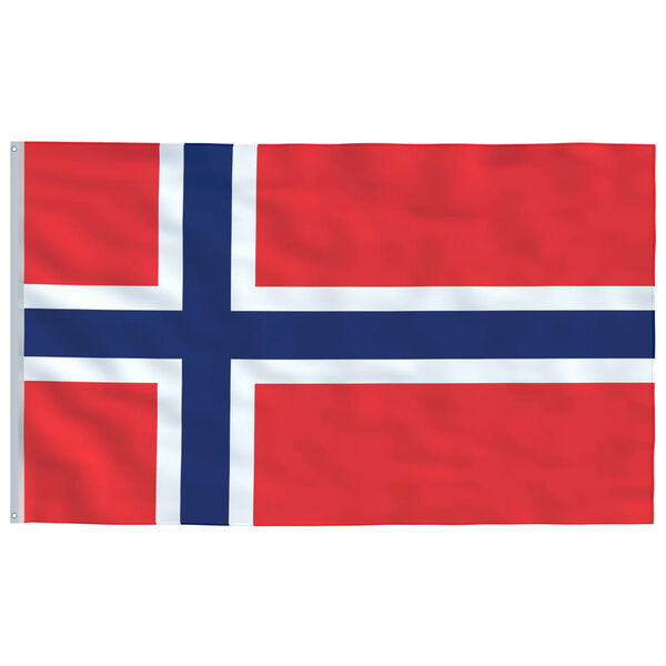 vidaXL Drapeau de la Norv&egrave;ge et m&acirc;t 6,23 m Aluminium