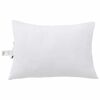 vidaXL Oreiller avec oreiller 2 pcs Blanc 61 x 41 x 20 cm Polyester