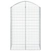 vidaXL Panier de gabions arqu&eacute; 100x50x140/160 cm Fer galvanis&eacute;