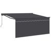 vidaXL Auvent r&eacute;tractable Anthracite 300 x 250 cm
