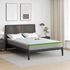 vidaXL Surmatelas Blanc et vert 180 x 200 x 6 cm Tissu Jacquard