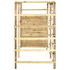 vidaXL Cadre d'escalade 240x100x170 cm Bois de pin imprégné
