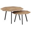 vidaXL Ensemble de table basse 2 pcs Hexagonal Teck recycl&eacute;