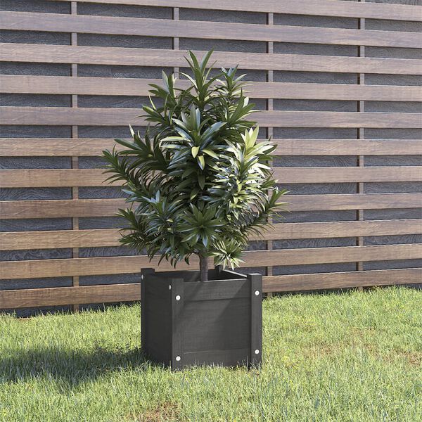 vidaXL Jardini&egrave;re d'ext&eacute;rieur Gris 31x31x31 cm Bois de pin massif