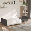 vidaXL Canap&eacute;-lit &agrave; 2 places Gris fonc&eacute; Microfibre