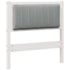 White_and_light_grey