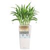 LECHUZA Jardinière Cubico Color 40 ALL-IN-ONE blanc 13150