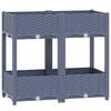 Blue_grey
