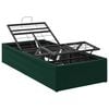 vidaXL Cadre de Lit &Eacute;lectrique R&eacute;glable Vert for&ecirc;t 200 x 80 x 33,5 cm