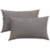 vidaXL Coussins de canapé 2 pcs Gris clair 50 x 30 cm