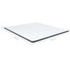vidaXL Surmatelas de sommier tapissier 200x160x5 cm mi-doux