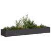 vidaXL Jardini&egrave;re noir 360x80x40 cm acier