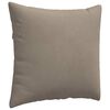 vidaXL Coussins de canap&eacute; 2 pcs Taupe 50 x 50 cm tissu