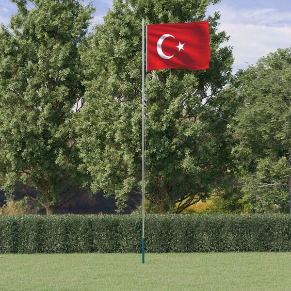 vidaXL Drapeau de la Turquie et mât 6,23 m Aluminium