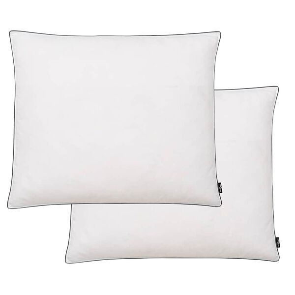 vidaXL Oreiller lot de 2 Remplissage de duvet l&eacute;ger 70 x 60 cm Blanc