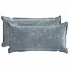 vidaXL Housse de coussin 2 pc HOUTEN Bleu clair 40 x 80 cm
