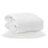 vidaXL Duvet toutes saisons avec oreiller 2 pi&egrave;ces Blanc Microfibre