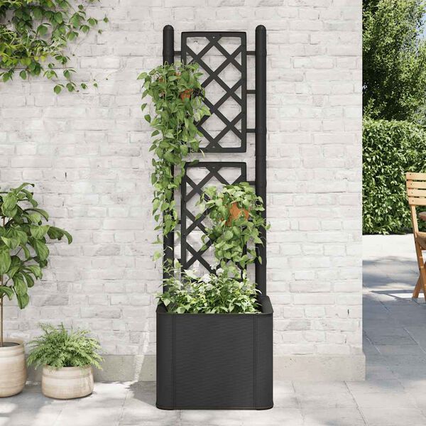 vidaXL Lit sur&eacute;lev&eacute; de jardin treillis syst&egrave;me d'arrosage Anthracite