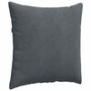 vidaXL Coussins de canap&eacute; 2 pcs Gris fonc&eacute; 80 x 80 cm