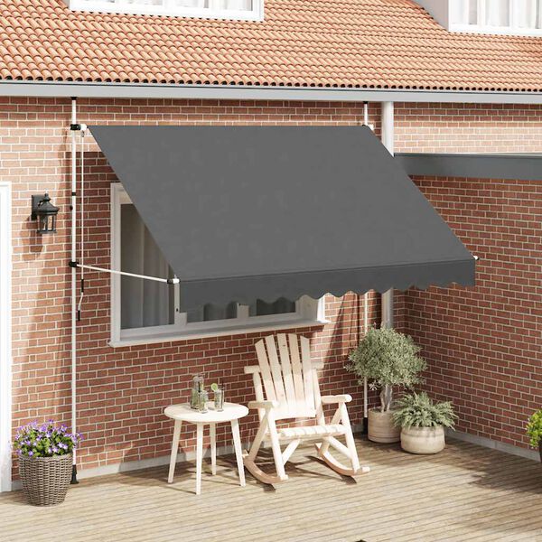 vidaXL Auvent manuel r&eacute;tractable 300 cm Anthracite