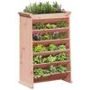 vidaXL Jardini&egrave;re de plantes aromatiques 6 niveaux bois massif douglas