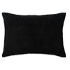 vidaXL Coussins lot de 2 Tissu 40x60 cm Noir