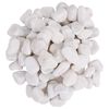 vidaXL Galets polis 25 kg blanc 2-5 cm