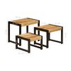 vidaXL Tables gigognes 3 pcs Bois solide de manguier