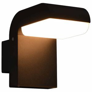 vidaXL Applique murale LED d'ext&eacute;rieur 9 W Noir Ovale