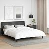 vidaXL Duvet d'hiver Blanc 200 x 220 cm Plume