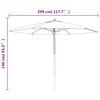vidaXL Parasol de jardin avec m&acirc;t en bois taupe 299x240 cm