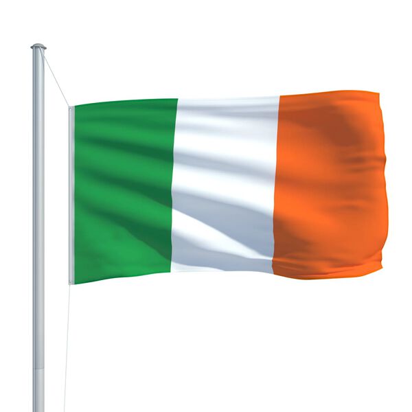 vidaXL Drapeau Irlande 90x150 cm