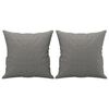 vidaXL Coussins d&eacute;coratifs lot de 2 Gris fonc&eacute; 40x40 cm Tissu