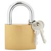 vidaXL U Lock avec Cl&eacute;s Laiton 7,4 x 2,1 x 10,6 cm Fer