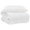 vidaXL Duvet d'&eacute;t&eacute; simple avec oreiller 2 pi&egrave;ces Blanc Microfibre