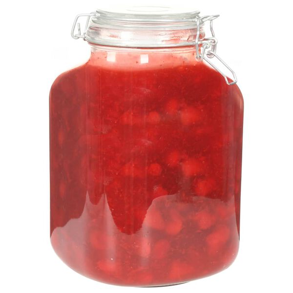 vidaXL Pots &agrave; confiture en verre avec serrure 12 pcs 5 L