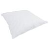 vidaXL Duvet d'hiver avec oreiller 2 pcs Blanc Plume de canard