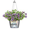 LECHUZA Jardinière suspendue NIDO Cottage 35 ALL-IN-ONE Noir graphite