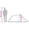 vidaXL Tente de camping tunnel 2 personnes vert imperméable
