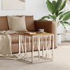 vidaXL Table basse argenté acier inoxydable et bois massif d'acacia