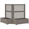 vidaXL Grand bac avec treille 2 pc PP Gris