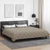 vidaXL Duvet d'hiver Gris clair et anthracite 220 x 240 cm Microfibre