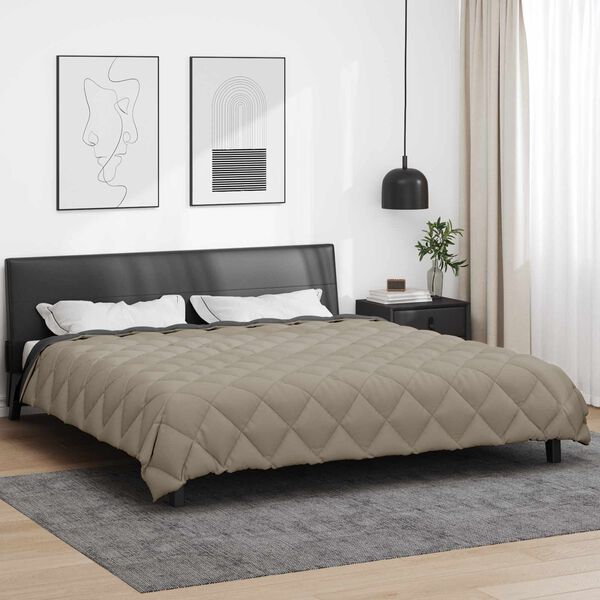 vidaXL Duvet d'hiver Gris clair et anthracite 220 x 240 cm Microfibre