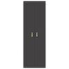 vidaXL Armoire de rangement avec stockage 2 pcs Noir 60 x 40 x 180 cm