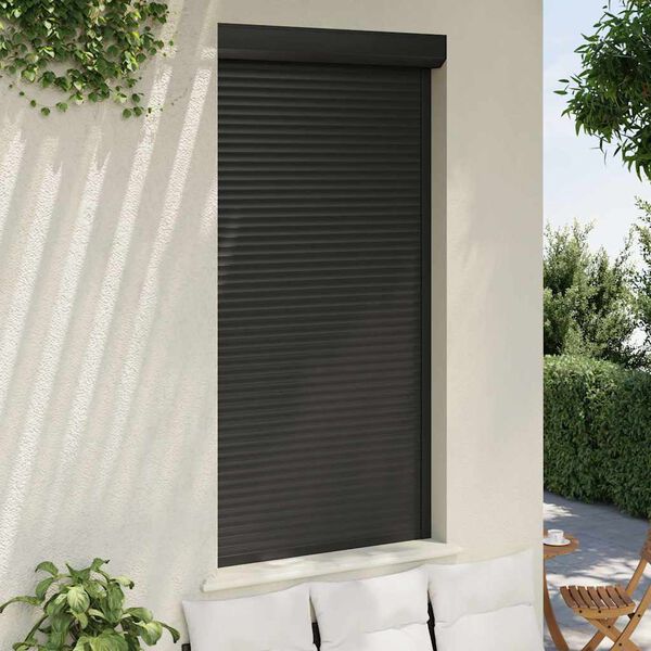 vidaXL Volet roulant aluminium 110x220 cm anthracite