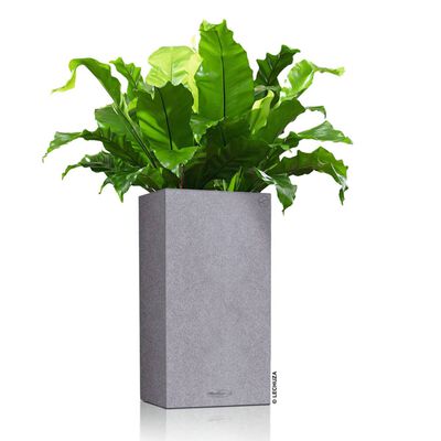 LECHUZA Jardinière CANTO Stone 30 High ALL-IN-ONE Gris pierre